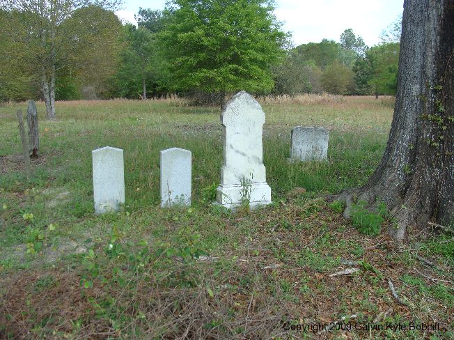 Wilkes Cemetery (John)